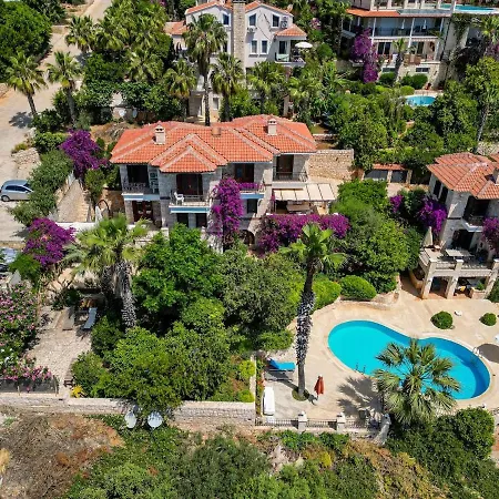 Sophia Villa