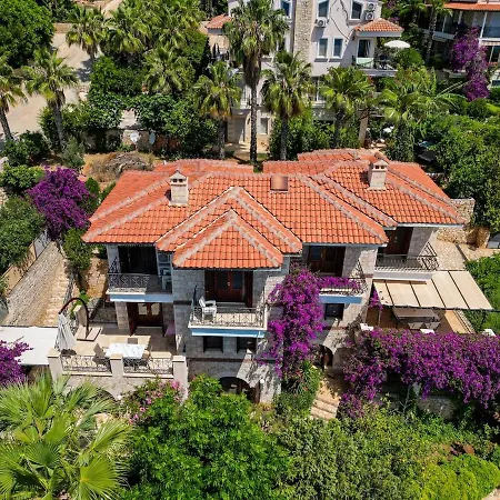 Sophia Villa *